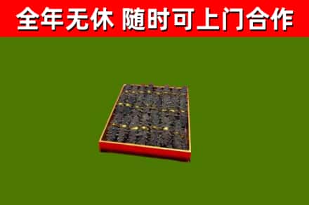 武定回收海参